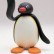 avatar van Pingu