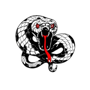 avatar van SnakeTube