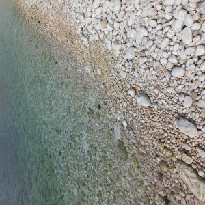 avatar van 7inchsingles.nl