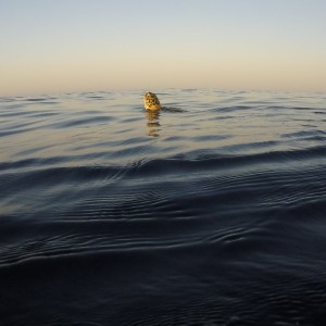 avatar van Wim Derksen