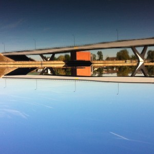 avatar van Mr. Bojangles