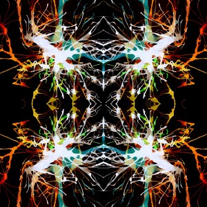 avatar van demonhunter1056