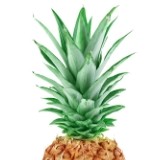 avatar van Good Loot