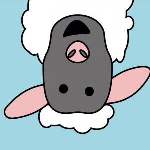 avatar van Jolly Sheep