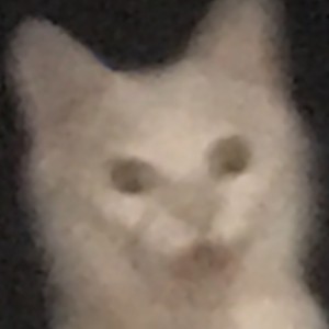 avatar van junglefire