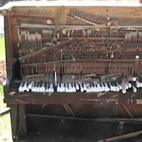 avatar van ButlersNotBurglars