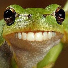 avatar van Smiling Frog