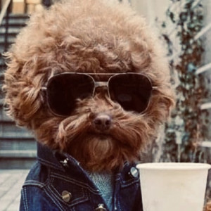 avatar van Spiltmilk1971