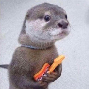 avatar van chlo&eacute;magnolia