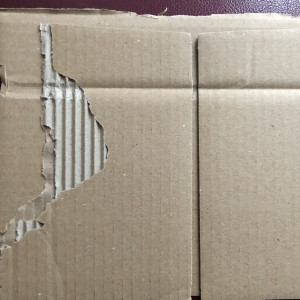 avatar van johannes anthonius