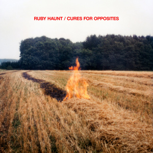 Ruby Haunt - Cures for Opposites (2022) - MusicMeter.nl