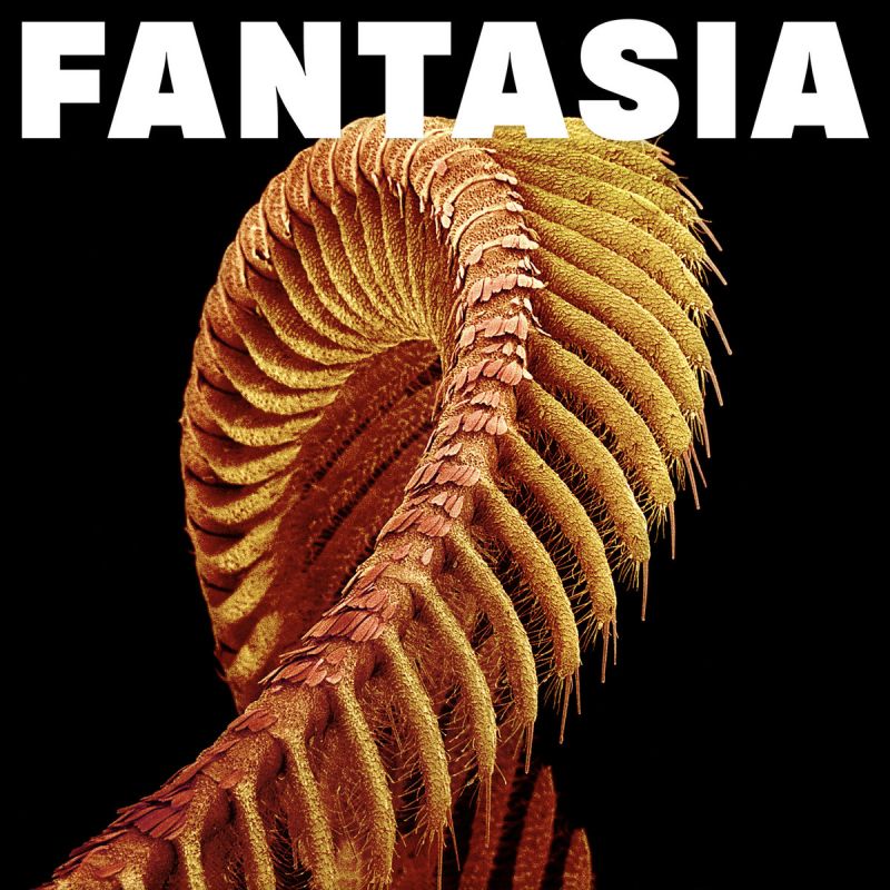 SLIFT - Fantasia (2026)